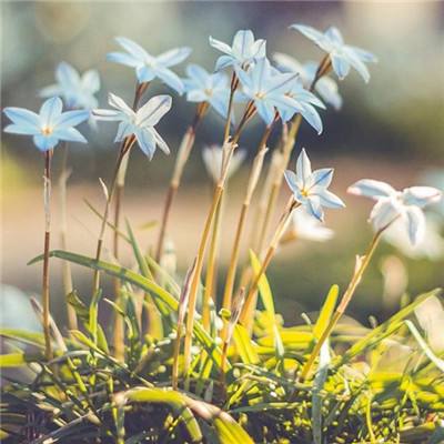 星空体育官方网站下载手机版