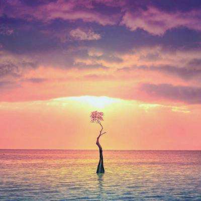 竞速PK10手机应用下载