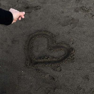 金年会体育app手机注册